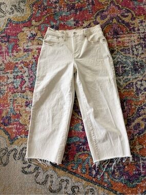 Madewell The Perfect Vintage Wide-Leg Crop Jean